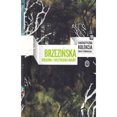 Wiedźma z Wilżyńskiej Doliny